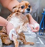 addons-hygiene