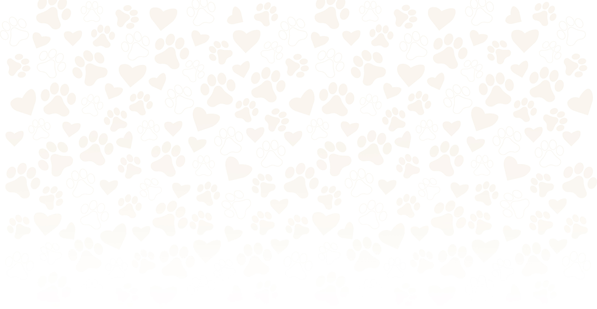 contact-top-background