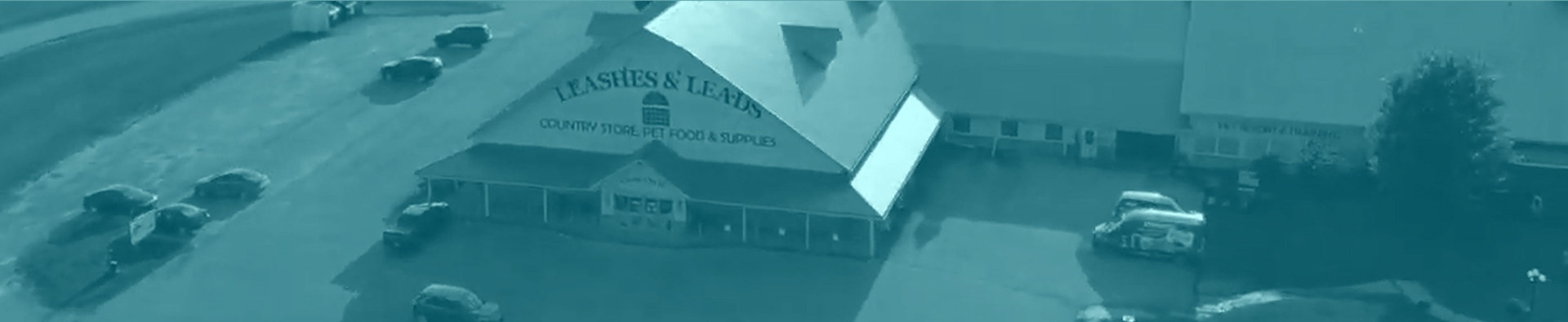 contact-header