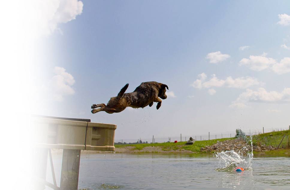 run-to-the-water