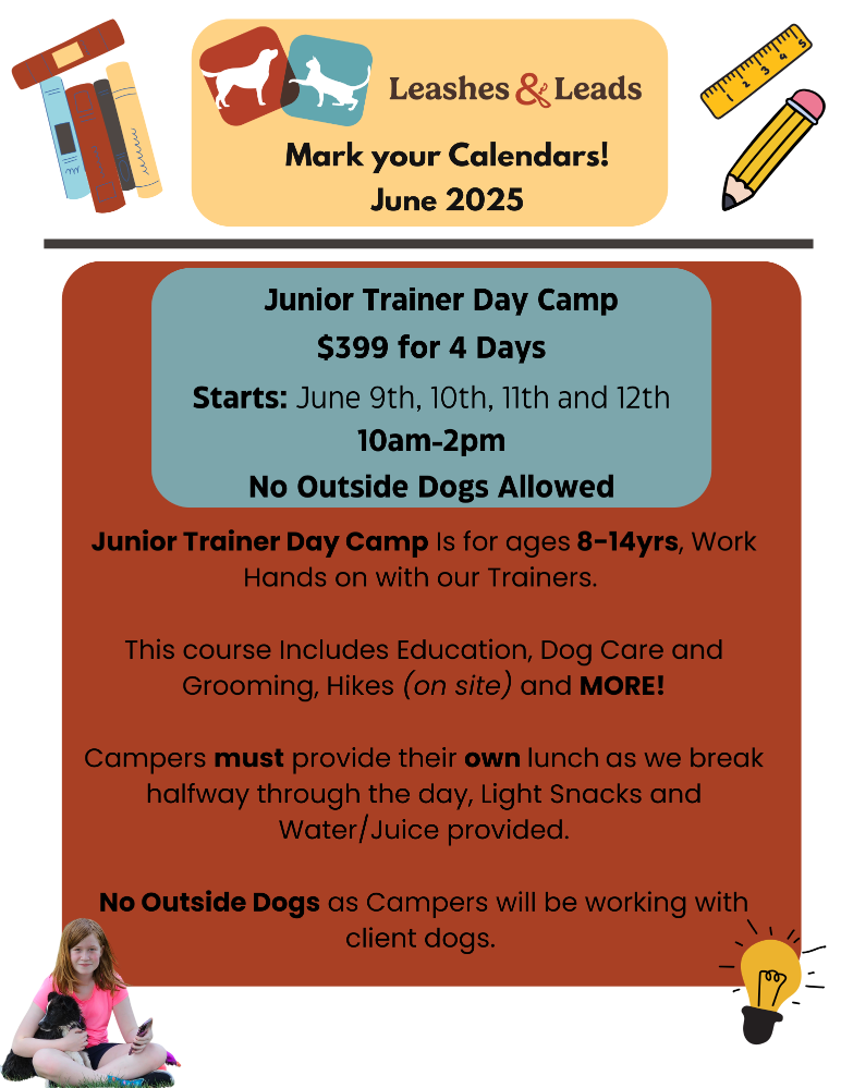 junior-day-camp