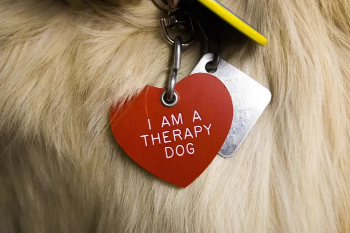 therapy-dog-tag