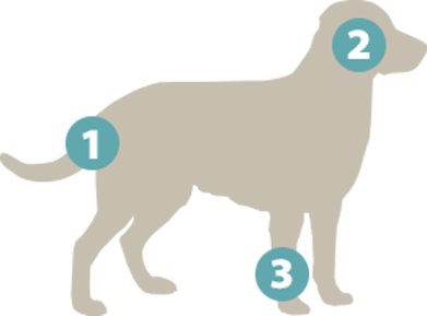 3-point-icon
