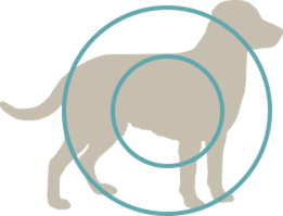 full-groom-dog-icon