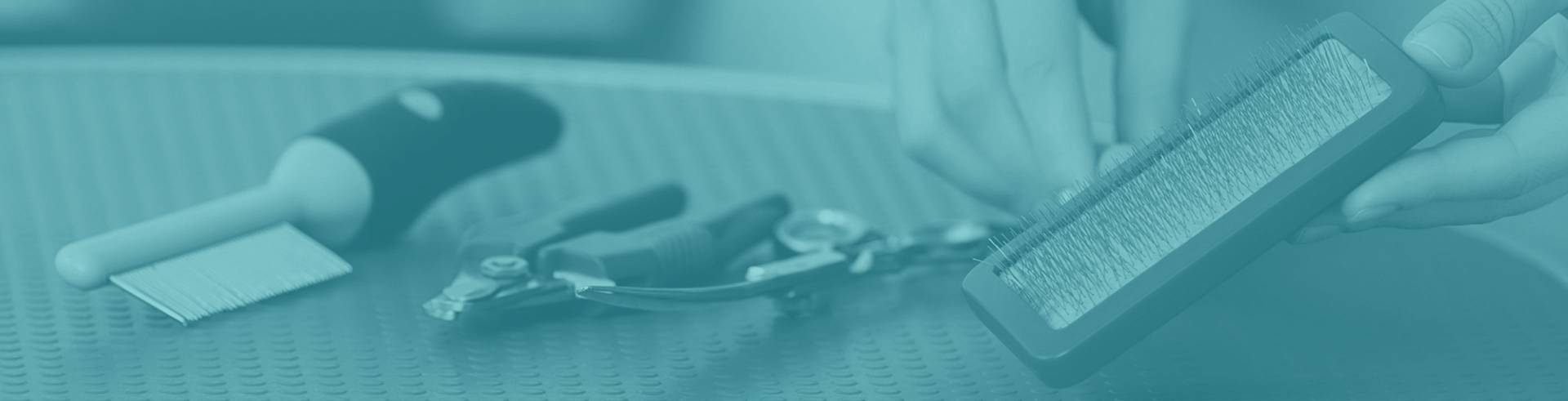 grooming-header