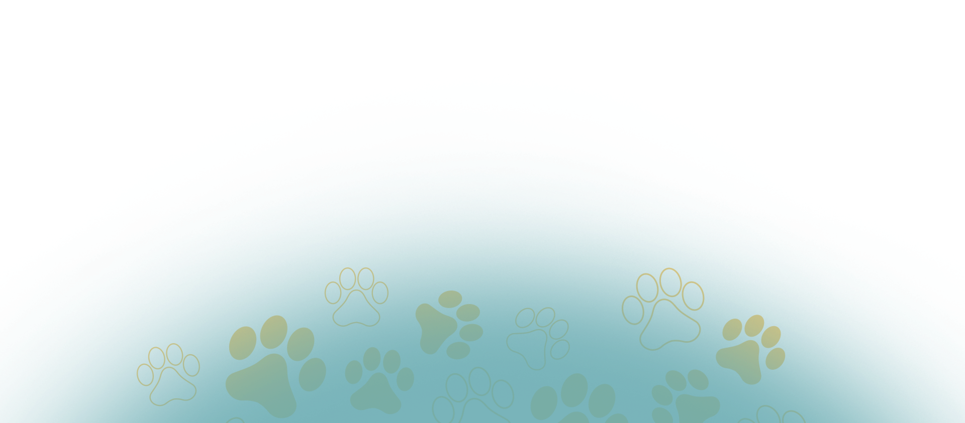home-video-overlay