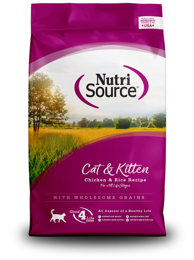 n-s-cat-kitten-chicken