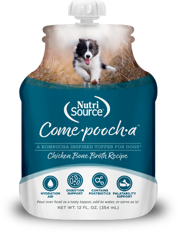 n-s-chicken-compoocha
