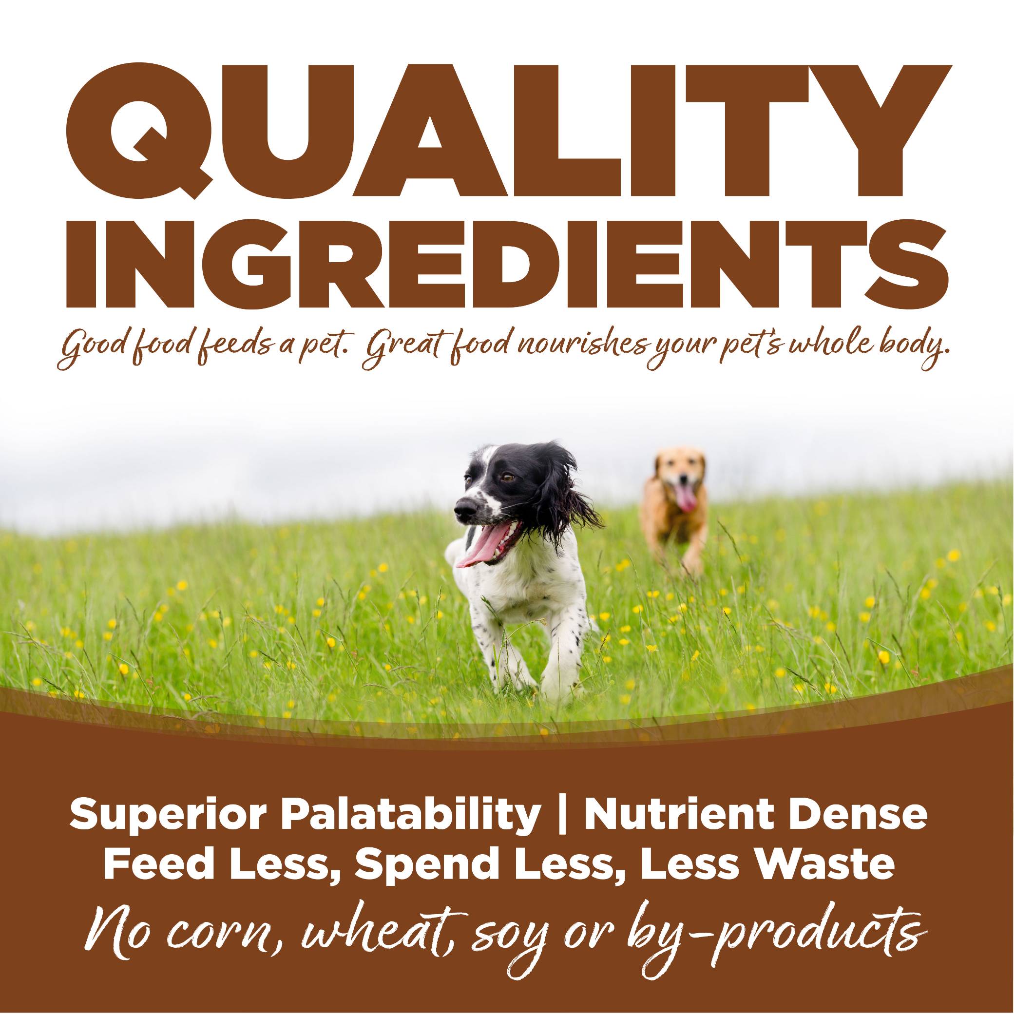 n-s-lg-breed-lamb-meal-rice-04