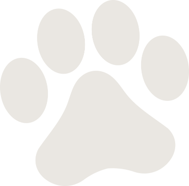 paw-overlay
