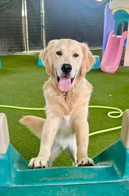 structured-playcare