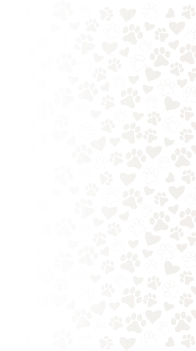 prints-sides-right