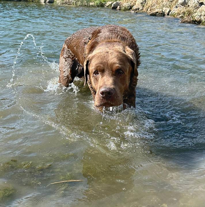 max-pond