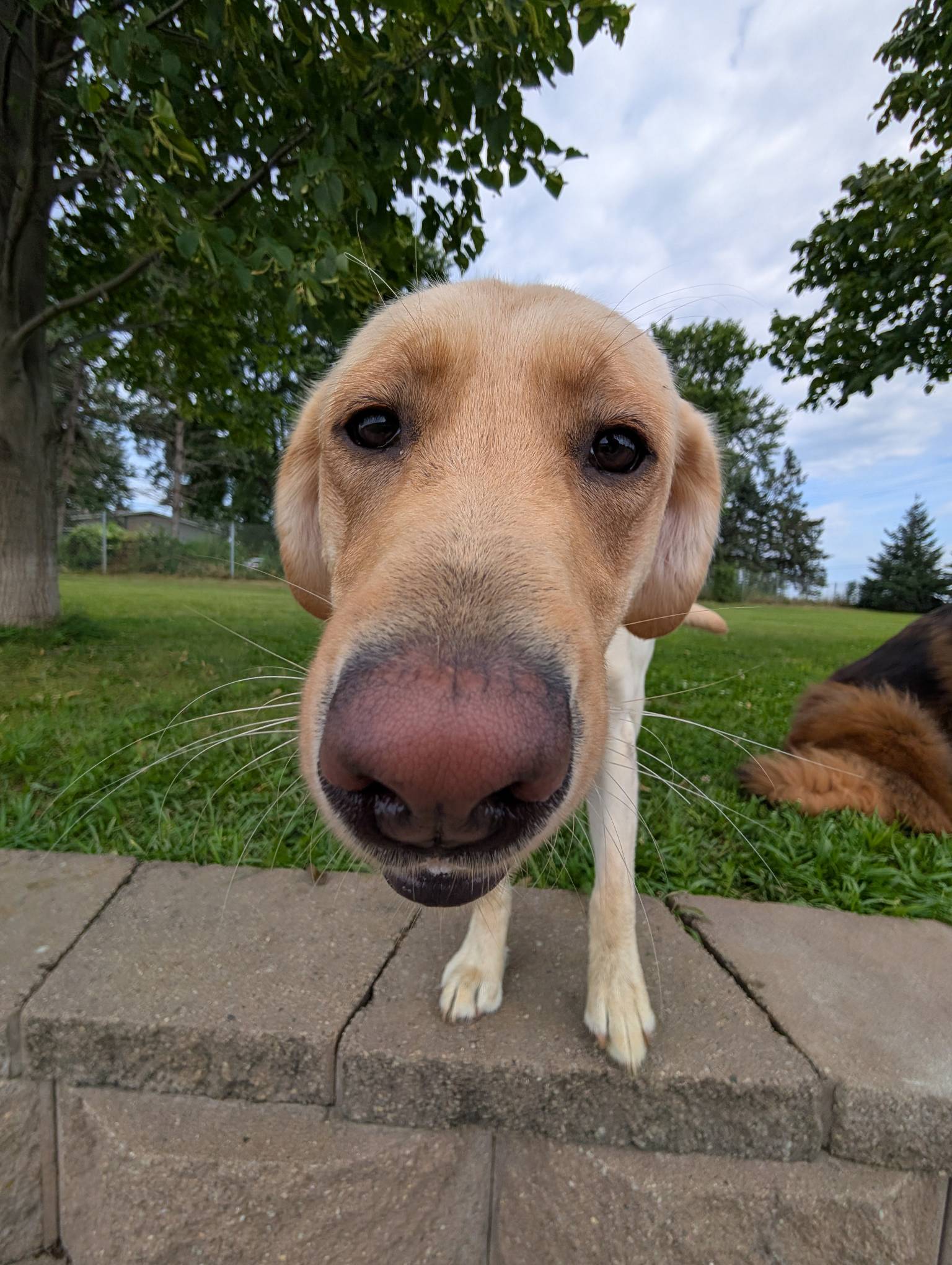 p-x-l-20250814-144143094