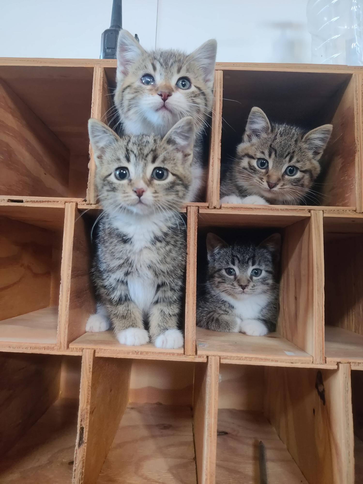 i-m-g-20251115-142131-01-1-