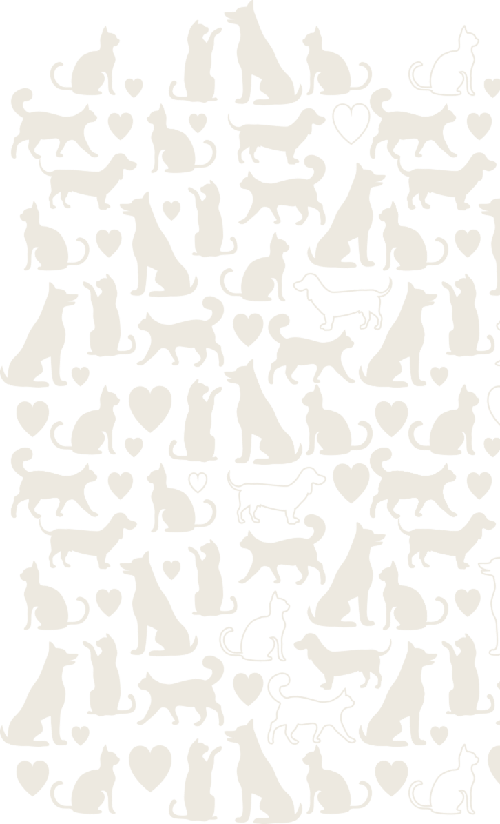 cats-and-dogs-right-side