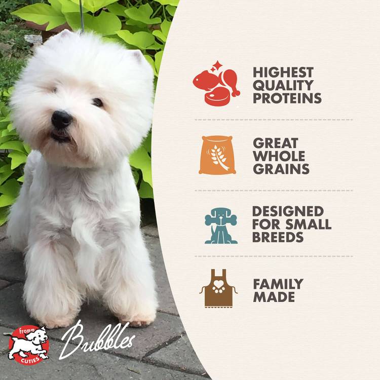 tile-features-gold-dog-dry-small-breed-adult-gold