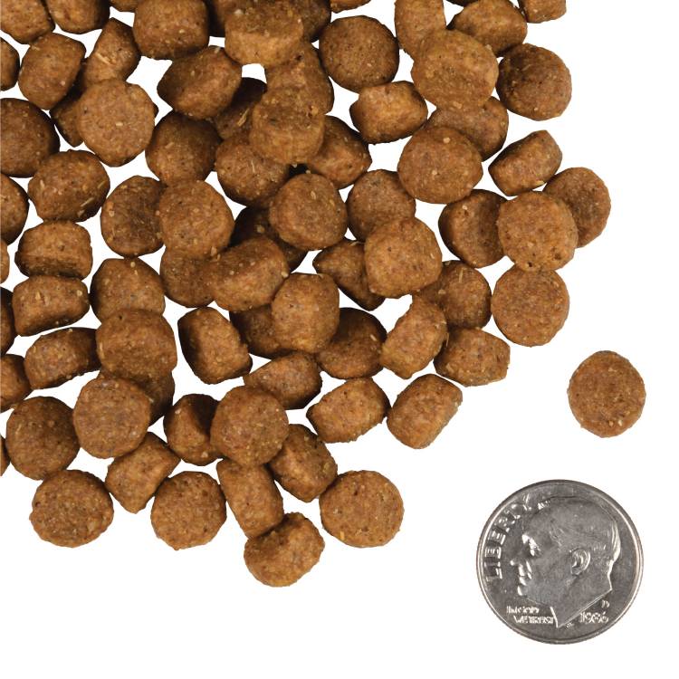 tile-oop-kibble-gold-dog-dry-small-breed-adult-gold