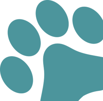 k9-academy